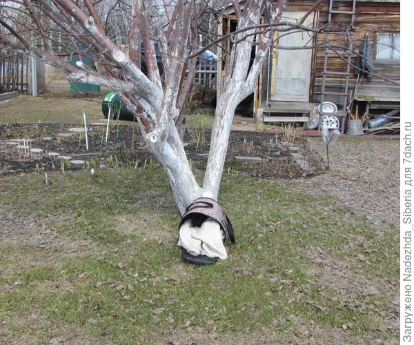 - "Прогулка" на природе...