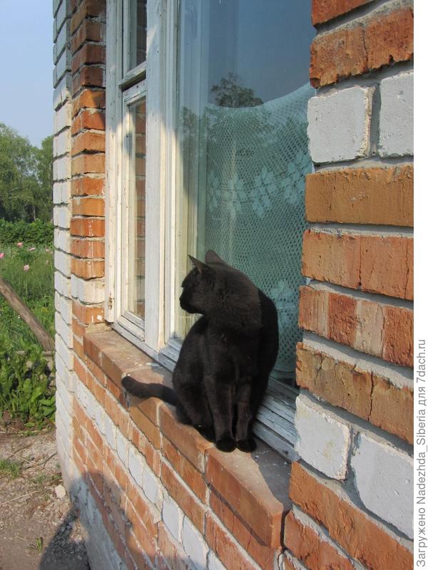 Рич - дачник!