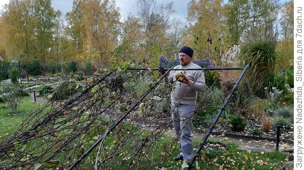 Первая шпалера опущена