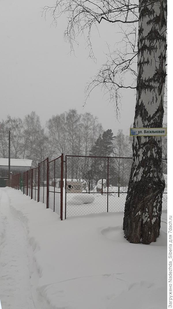 Прочищаем тропу - до калитки...