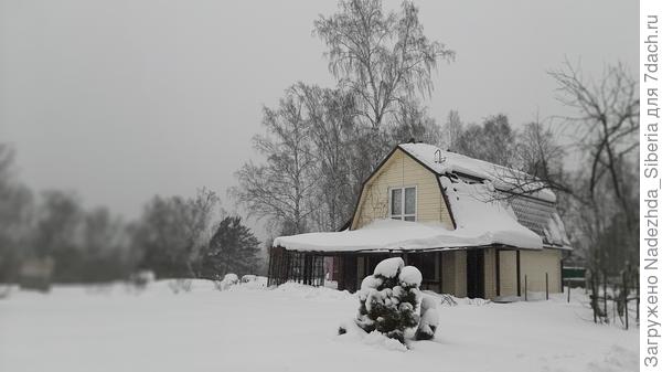Снежный покой и умиротворение царит кругом...