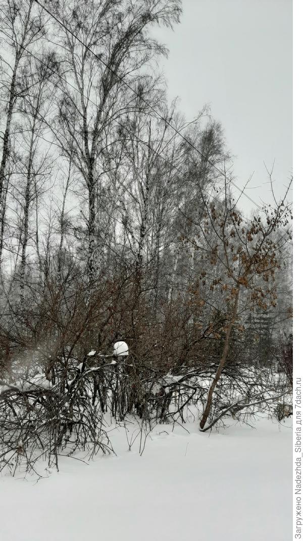Придорожная графика...