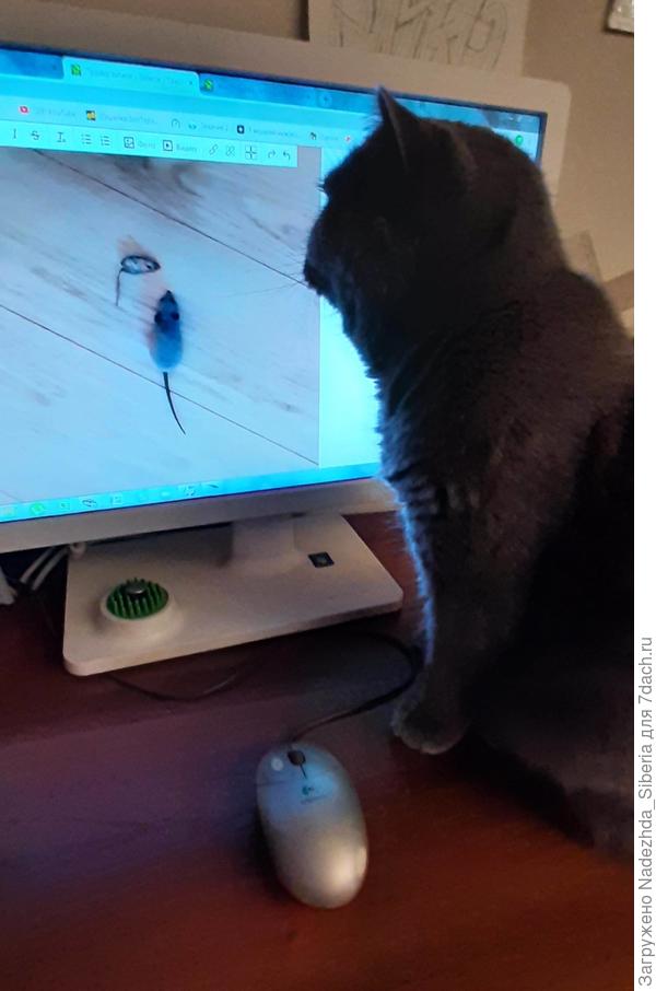 - А здесь-то скооолько!..