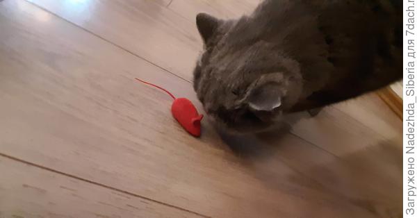 - Ой, а это... кто тут?..