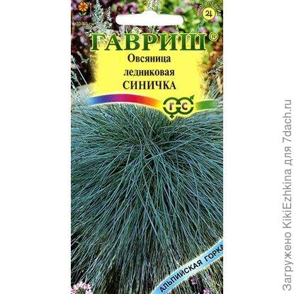 Если  это  такие  смена  как были  у вас- буду  присматриваться  к семенам этой  фирмы...