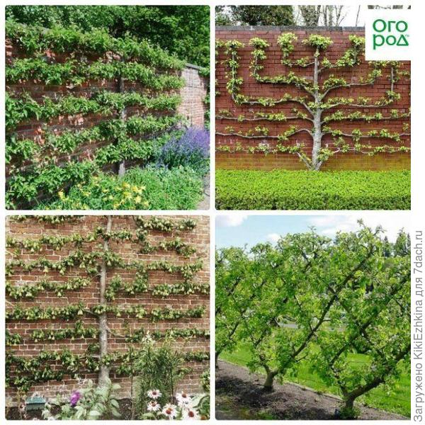 Мне  симпатичен  метод  переплетения веточек-ромбиками