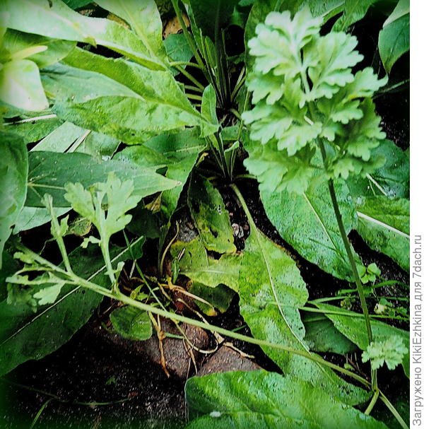 конец октября