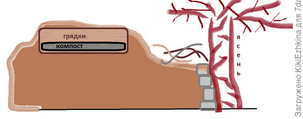 Изобразила  профиль участка как смогла. Как видите - вся  влага уходит у нас  с  участка  слева-направо... в  сторону уклона...