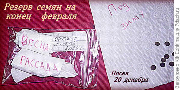 ВСЁ! Вчера уже посеяли те горошины, которые назначены на подзимний посев!