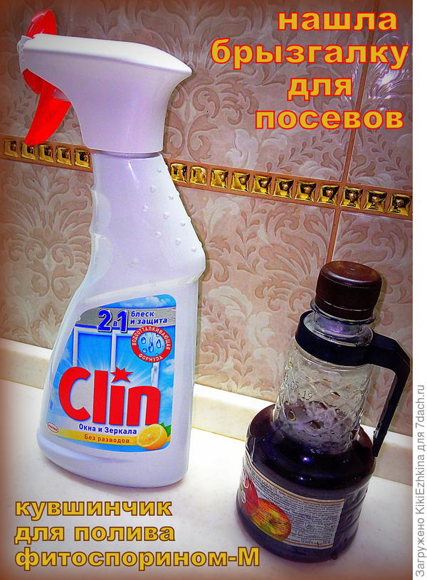 Подготовилась к сезону  рассадных посевов