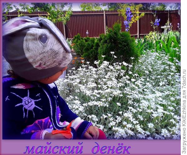 А весной 2020 года был из этих былинок уже вот такой результат!