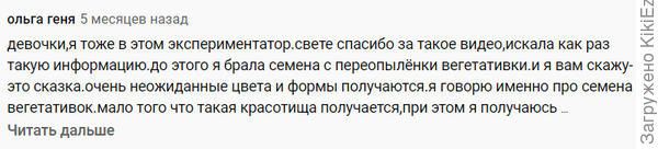 Вот девчата молодцы !!!
