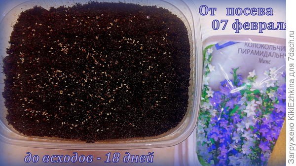 Фото перед   установкой на стратификацию в овощной отдел холодильника...