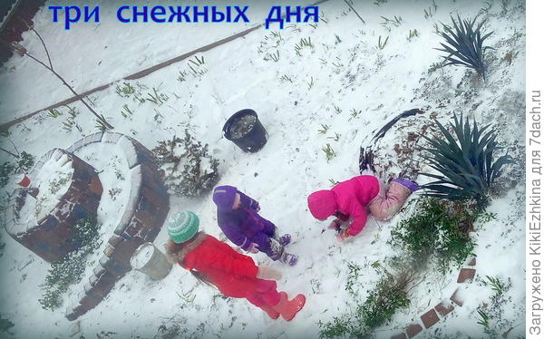 Правда  морозов  ниже 9 градусов  мороза  в эту зиму не было...