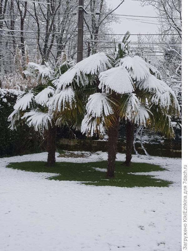 этот НОВЫЙ год...