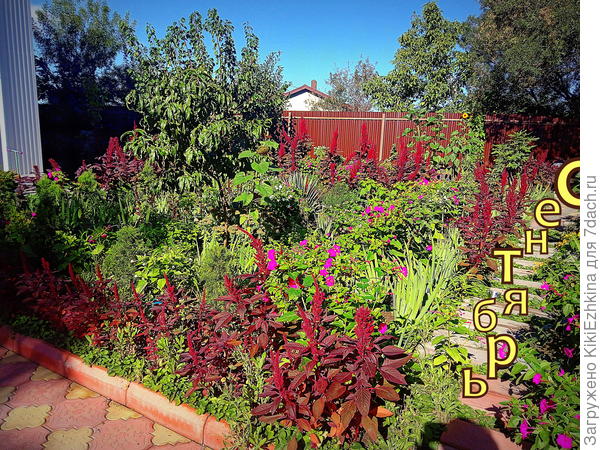 Бывает утренний  полив