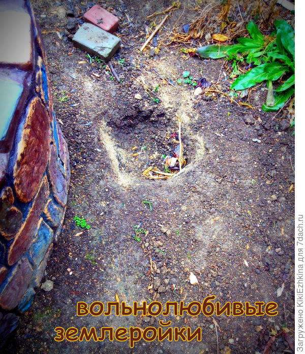 Вот  уже  какие ямищи  выкапывают- можно использовать вместо экскаватора! :)