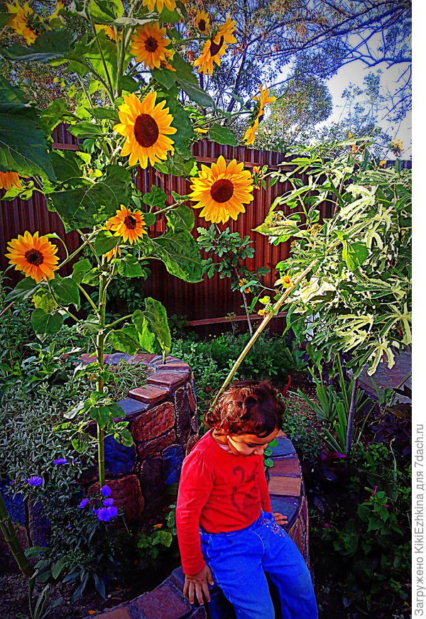 на  маминой горке-улитке...