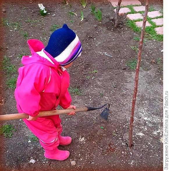 за  бабушкой  нужно всё  повторять!