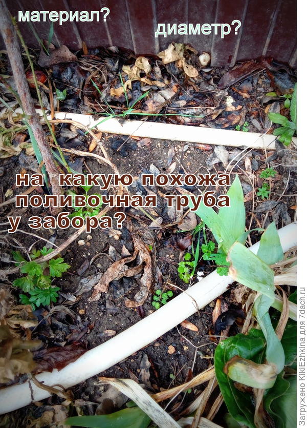 тянется капельная труба вдоль забора приблизительно 15 м... С чего начать?