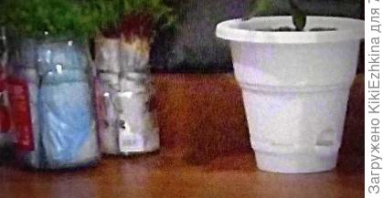 дно  как у  400 граммовой  стеклянной банки,  верхний  диаметр- шире...