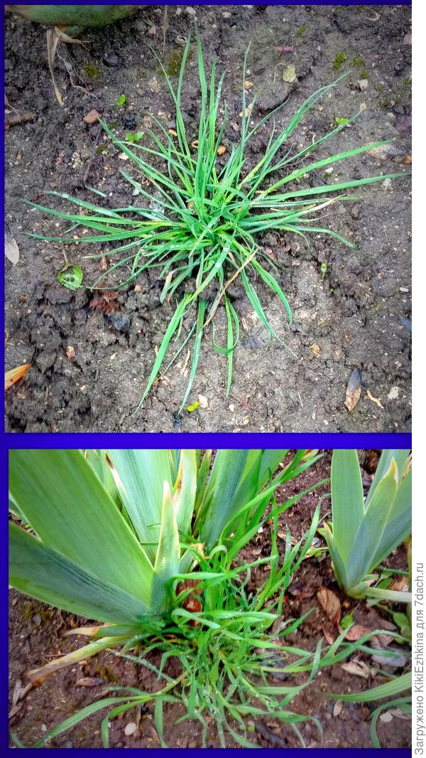 Теперь: ЖИВИЛЮБУЙСЯРАДУЙСЯ  :)