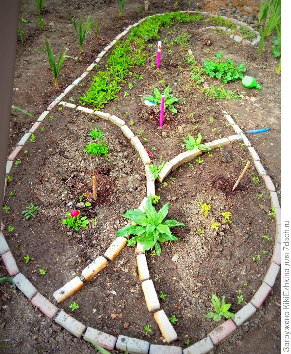 Сейчас явно заметно какая   моя рабатка лысая по весне. В прошлом  году  только начала её формирование: насадила  фиалок,юкки вокруг,наперстянки насеяла... Сейчас  стало очевидно- первоцветов весенних не хватает-  наверное   высажу по осени сюда  гиацинты... а то уж больно долго ждать летних цветов...  и  стоять в неприглядном лысоватом  виде...