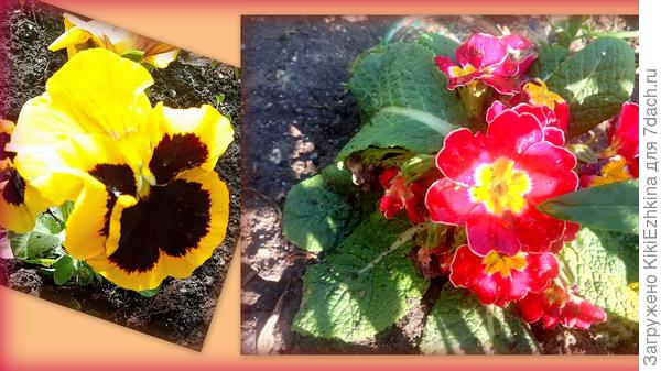 В магазине всё готово к весне!