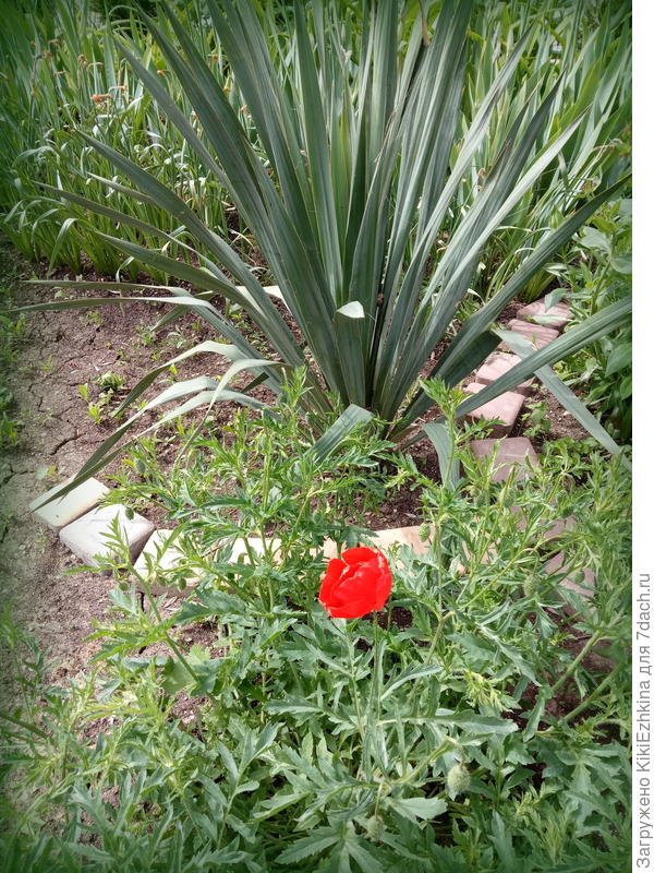 Вот он, залётный...
