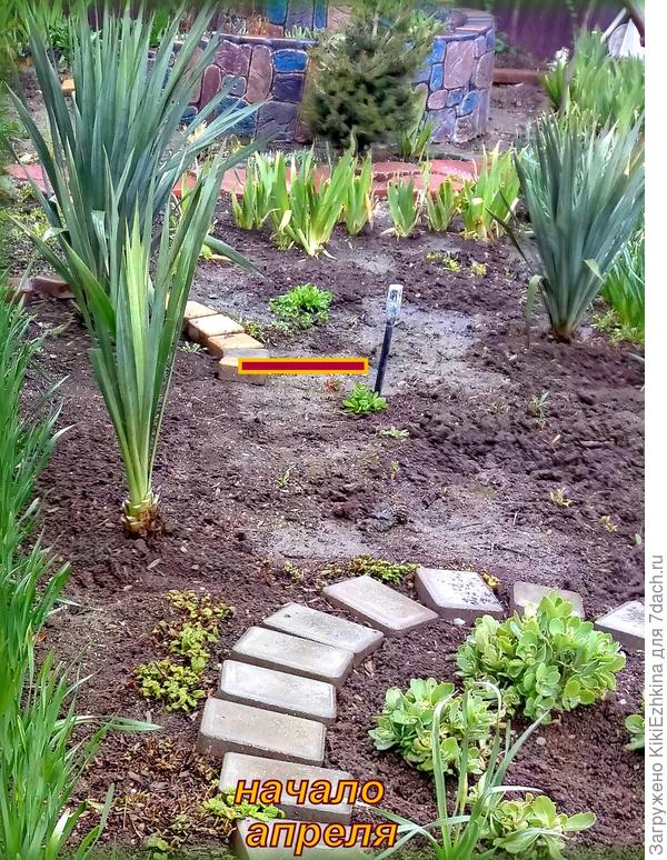 Сильно меня удивил на этом месте  неизвестно откуда появившийся зелёный и пышный кустик!