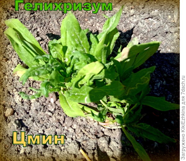По всему видно,что им там тесновато... Но уж пусть пока живут как могут...