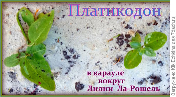 Получатся ли из них стражники  как в  карауле по стойке &quot;смирно&quot;?