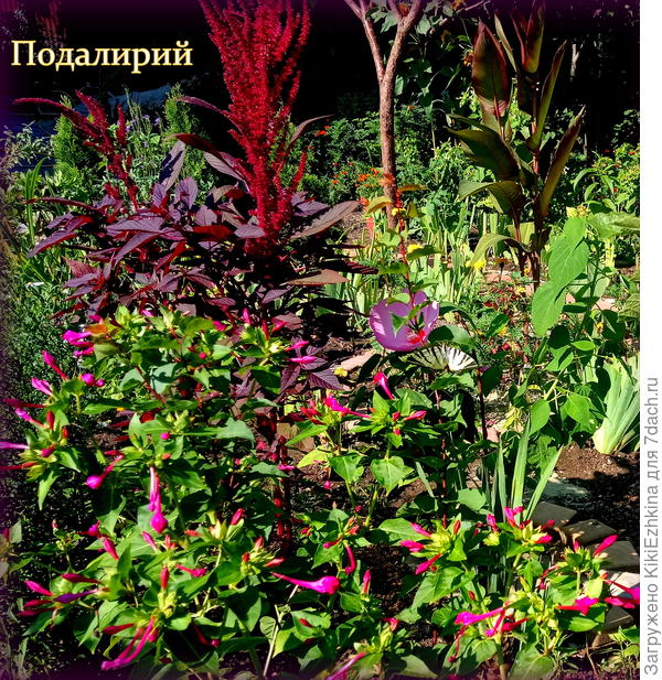 Дети дразнят бабочку Тигрой...