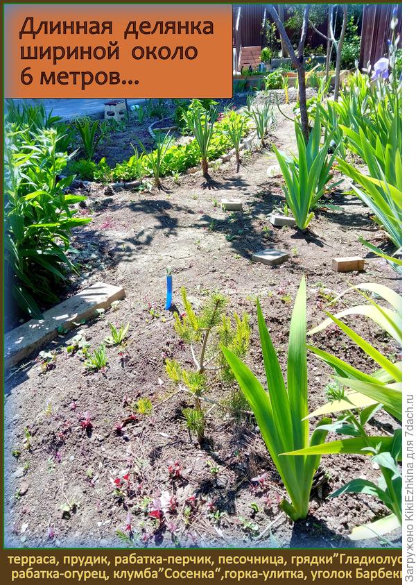 Ответ  на наш давний разговор  про наличие земли: объекты перечислены  с дальней  точки  последовательно...