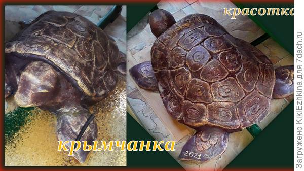 Это одна из двух: особь женского рода...