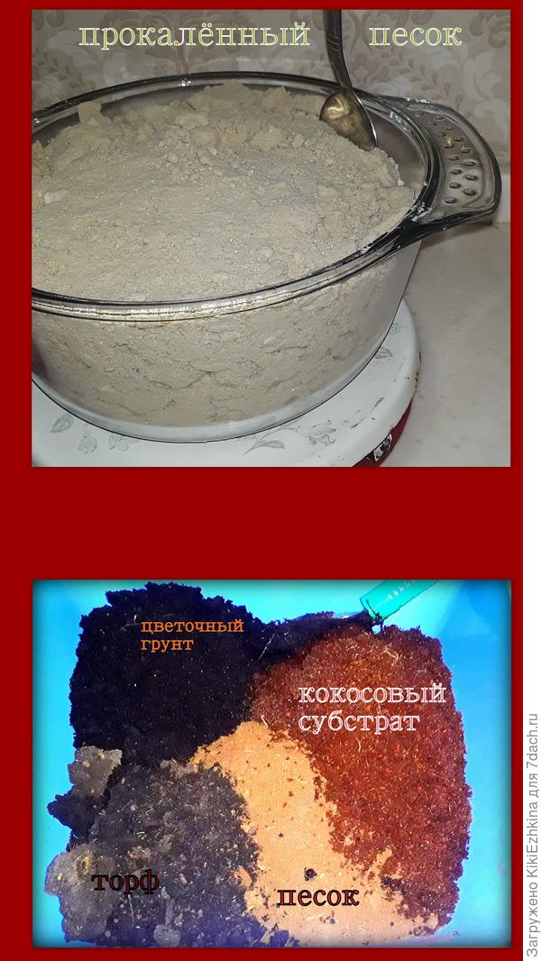 Пришлось  прокалить  песочек,   прикупить цветочного грунта, специальный  грунт для кактусов, кокосовый жмых, тяжёлый торф
