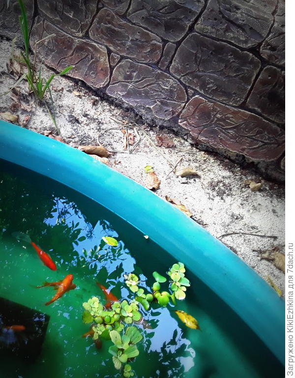 вот это узенькое место  между бассейном и бортом террасы