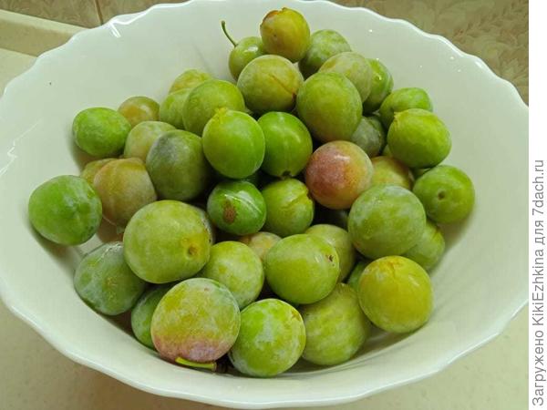 Дерево старое,  ещё советской  селекции: зелёная  сладкая слива,  в  поздние сроки   просто медовая!