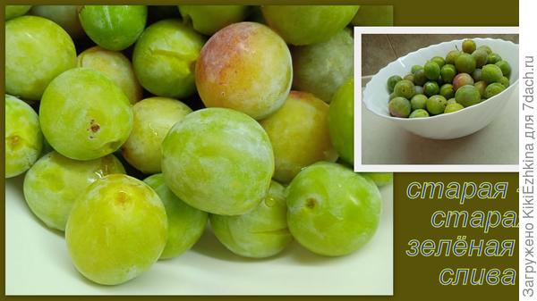 Урожай   сливы  собран 22  сентября...