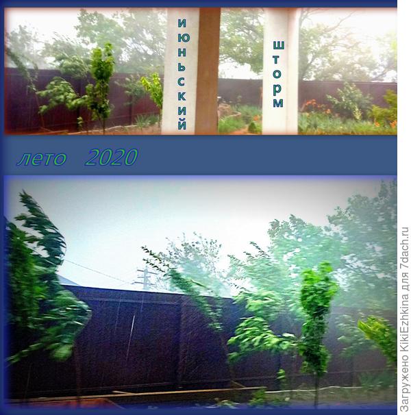 Тут удалось заснять несколько кадров дождя с ветром, после которого я обнаружила массу изменений внутри нашего ландшафта :) Например канавки для стока дождевой воды оказались заполненными рыжей глиной с уровня верхней террасы... Стихия приняла участие в перестройке коммуникаций по собственному усмотрению...