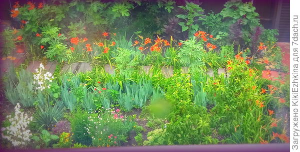 Качество фото не важное, снимок через стекло...