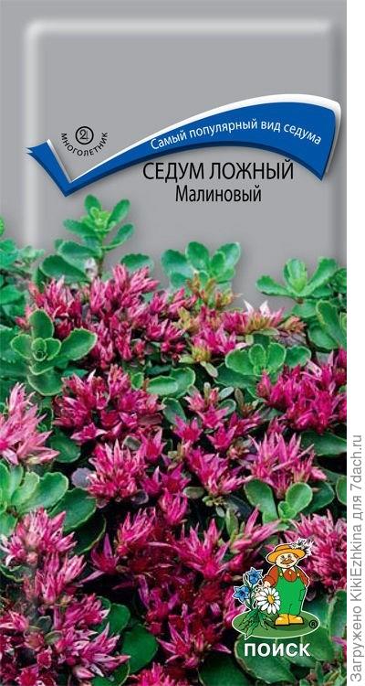 А не кажется ли вам,что расцветка  вполне местами похожа на ваш  очиток, а ведь он у вас  фактически РОЗОВЫЙ  , а не  малиновый...  В таком  случае  и мне  не стоит надеяться на появление ярко-малинового цвета,вероятнее  всего  цветочки окажутся розовыми...