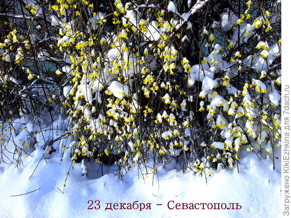 А  сегодня  уже таять снег начал... За окном  стучит  капель с крыш...