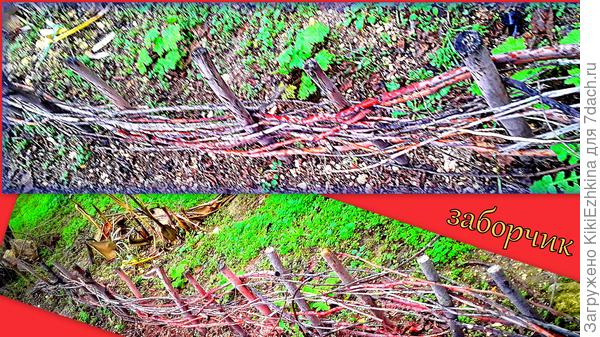 Плетень  на  газоне    рядом с многоквартирным домом...