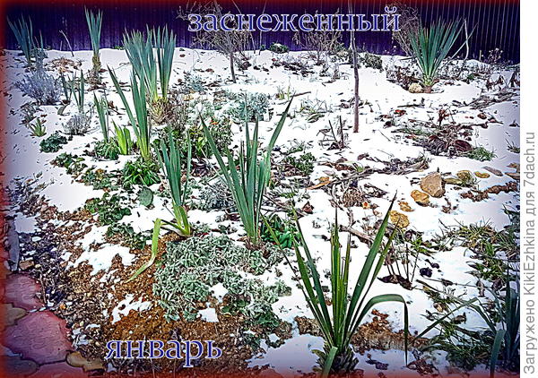 Участок за забором со стороны улицы  постепенно осваивается нами в течение последних двух лет...