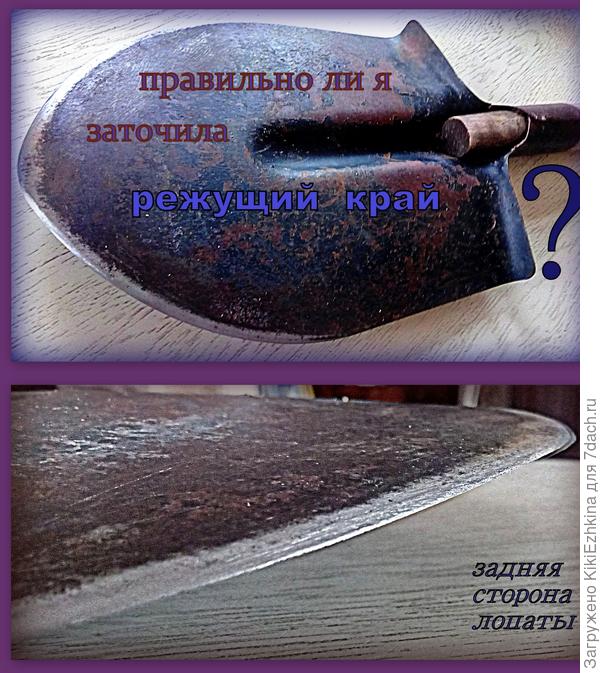 Часто  лопаты у нас  почему-то ломаются... Эта- последняя. Как я  поняла- точить надо  просто с задней  сороны.  Брусок  есть - обломок  точильного круга,достаточно мелкозернистый, Вот  им  и прошлась по  краям лопаты.