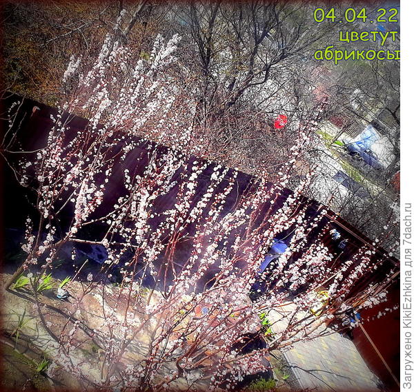 Тёплые  дни были  у  нас , но прошли...