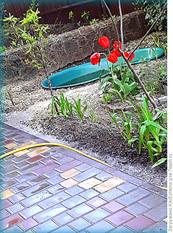 Поливочный  сезон открылся! А днём уже было к 20* С  тепла...