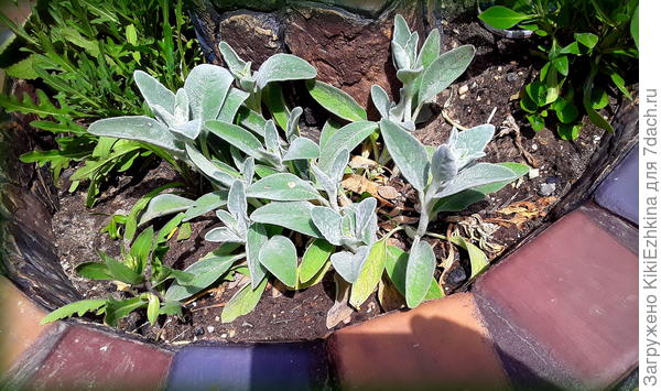 надо придумать,что приспособить под заслонки...