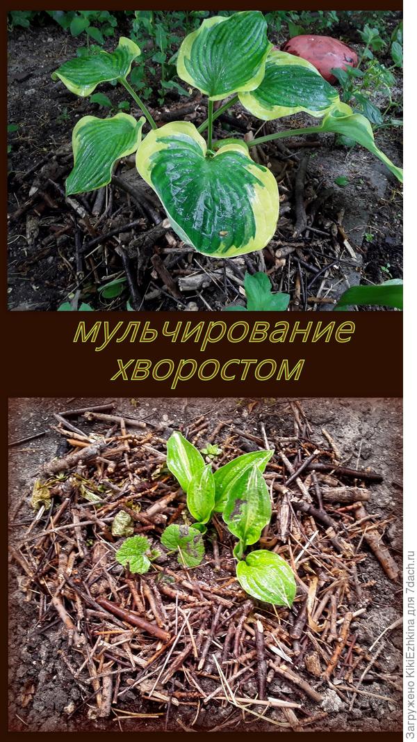 Сделать-сделала, а  теперь размышляю:  что моим хостам  даст данная  мера?